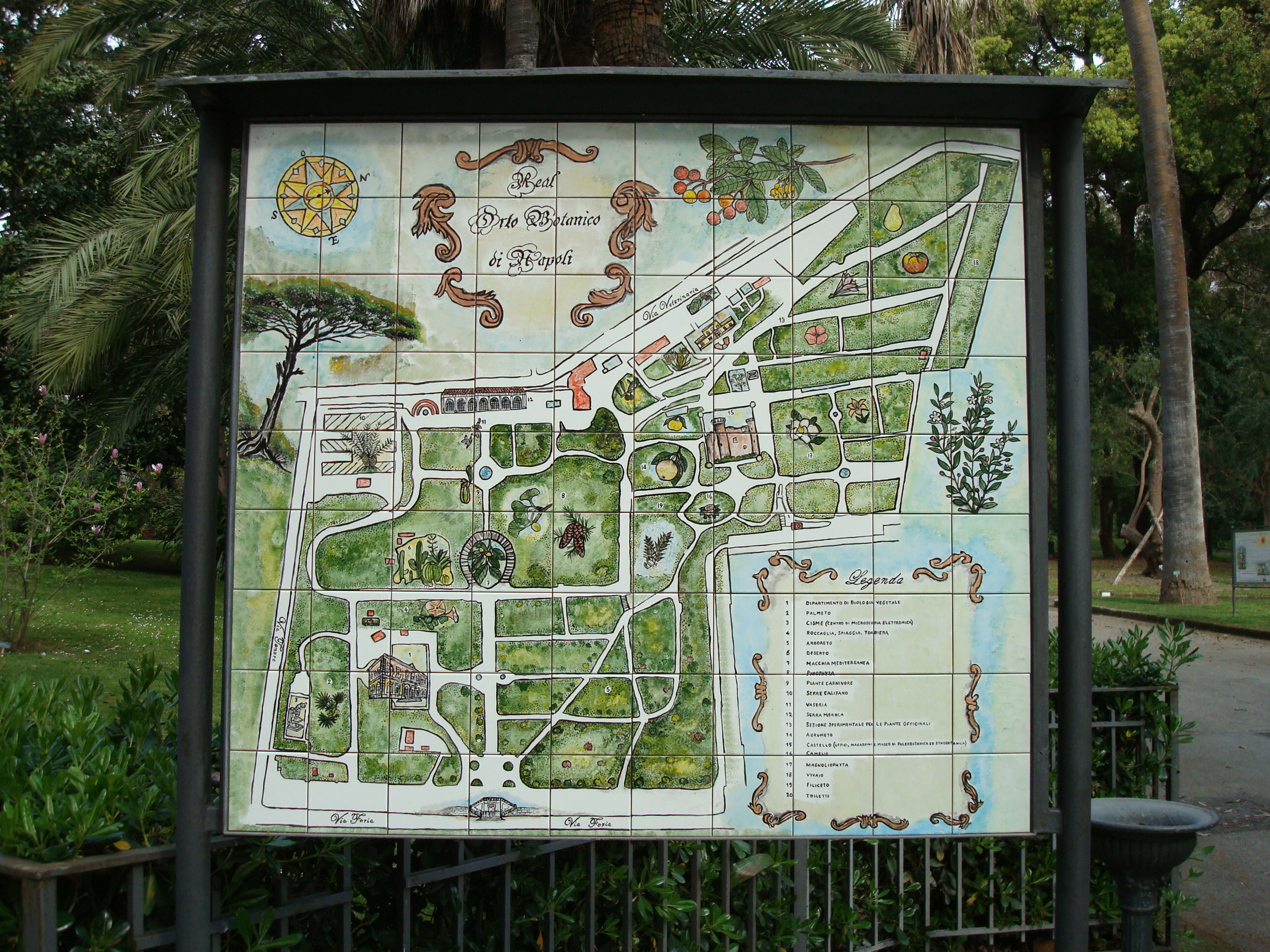 L’Orto Botanico dell’Università degli Studi di Napoli Federico II, ospita dal 19 al 21 novembre la sesta edizione della “Festa dell’Albero”