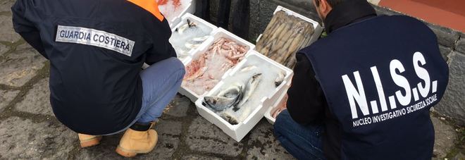 Pesce avariato e alimenti scaduti Blitz di vigili e guardia costiera al mercato e al Granatello