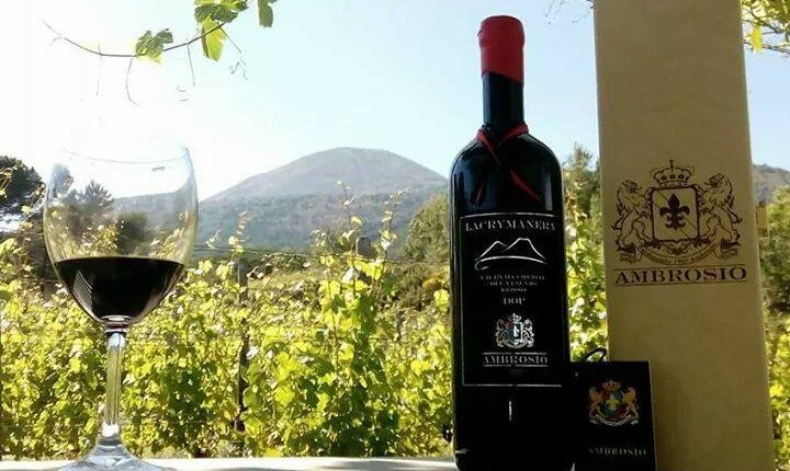 Vigne Ambrosio di San Giuseppe vesuviano è la miglior azienda vitivinicola d’Italia 2017