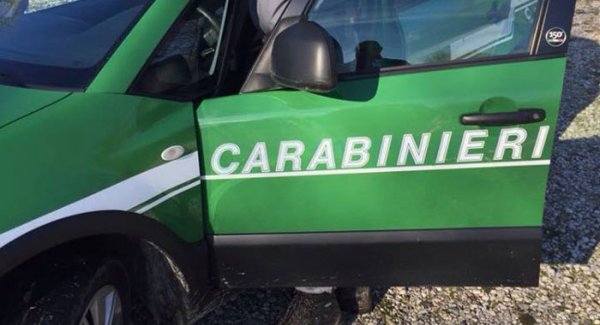 Inquinamento ambientale, controlli e denunce dei carabinieri a Marigliano e a San Vitaliano