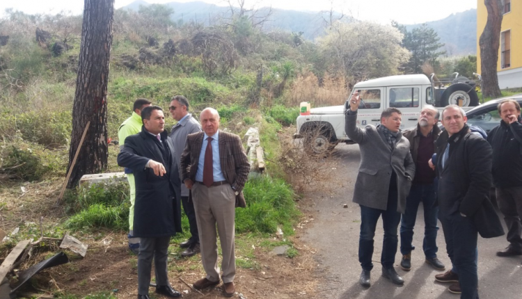 San Sebastiano al Vesuvio – Importante accordo per la manutenzione del patrimonio arboreo