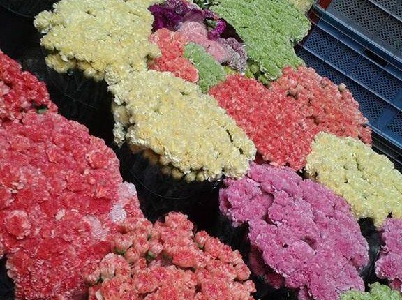 A Portici si aspetta San Ciro. Tre tappeti di fiori per omaggiare il Santo Patrono. Ecco tutte le tappe della processione