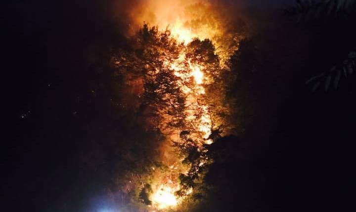Vesuvio, incendi e frane: esperti a confronto sul dissesto idrogeologico mercoledì 22 novembre a Torre del Greco