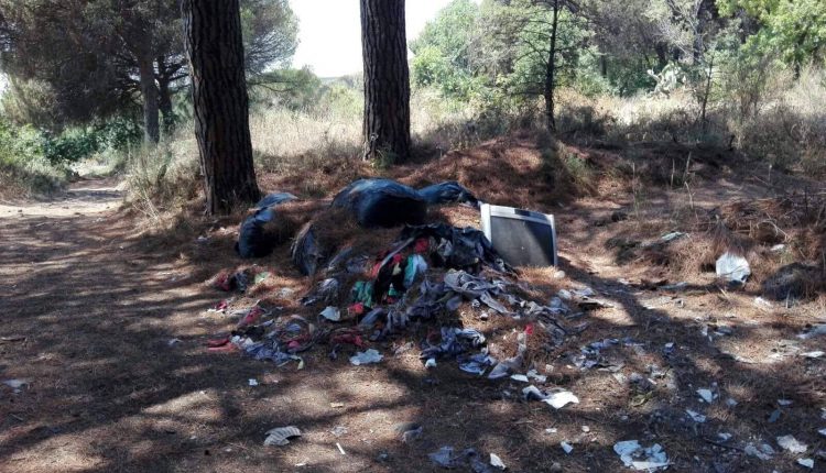 Parco del Vesuvio, l’allarme del Cnr dopo gli incendi: “C’è rischio idrogeologico”