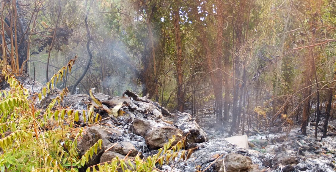 Incendi sul Vesuvio, aggiornamento dei dati qualità dell’aria