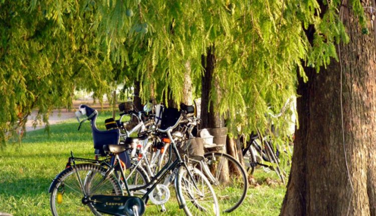 Domenica 8 ottobre “Bicicliamo insieme” a Somma Vesuviana, una manifestazione dedicata alle famiglie