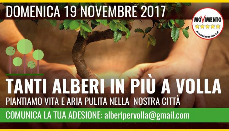 “Restituire la Bellezza a Volla”: il 19 Novembre la prima Festa dell’Albero ad opera del M5s