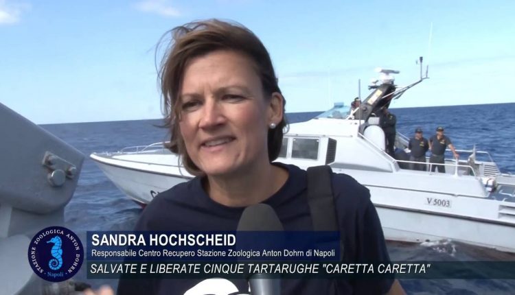 PORTICI SCIENCE CAFE’ – “Tartarughe Marine nel Mediterraneo: specie ad estinzione o storia di successo?