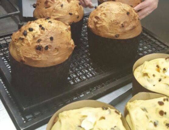 Alla Pasticceria Liccardo il nuovo panettore artigianale cioccolato e rum