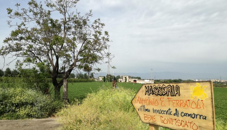 SOCIALE E CULTURALE – Arriva la Pasquetta alla Masseria Antonio Esposito Ferraioli: nel bene confiscato alla camorra l’happening picnic