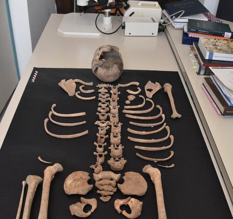Lo scheletro di un bambino di 8 anni trovato a Pompei durante un restauro, lo studio fondamentale per ricostruire la composizione e lo stato di salute degli abitanti di Pompei nel 79 d.C