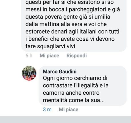 Minacce ai Verdi dopo dossier su parcheggiatori “Vi devono squagliare vivi”