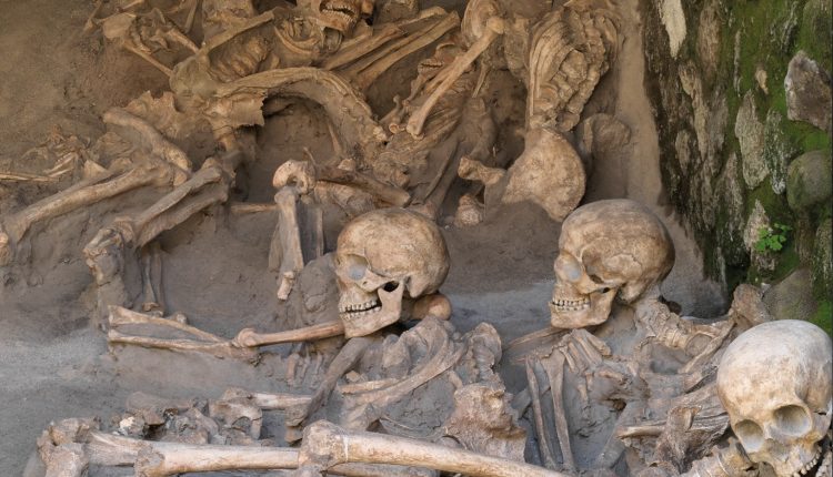 Mercoledì 25 aprile 2018, esperti di Genetica in visita a Ercolano  per lo studio del DNA dei reperti dell’antica città