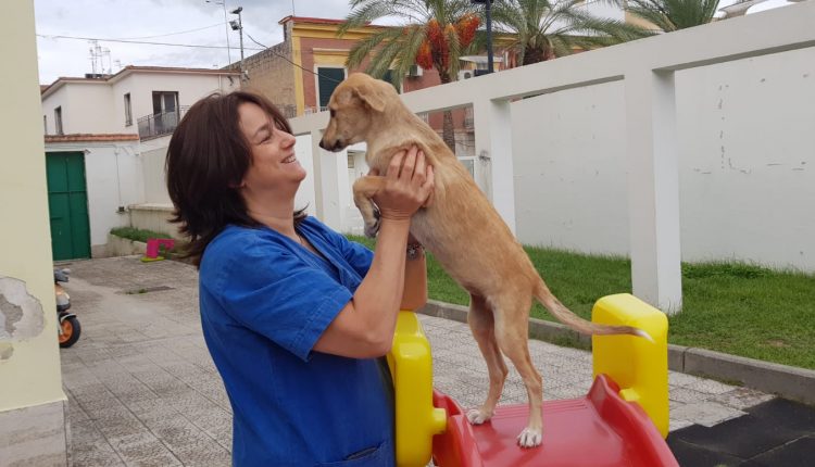 Pomigliano d’Arco, la trovatella «Duchessa» protagonista del progetto pilota che promuove l’adozione di un cane nelle scuole della città
