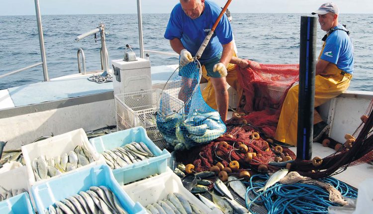Med Cooking, mare e pesca sostenibili: Cibo med e snergia con Marevivo per protezione ambiente marino a Castellammare di Stabia 