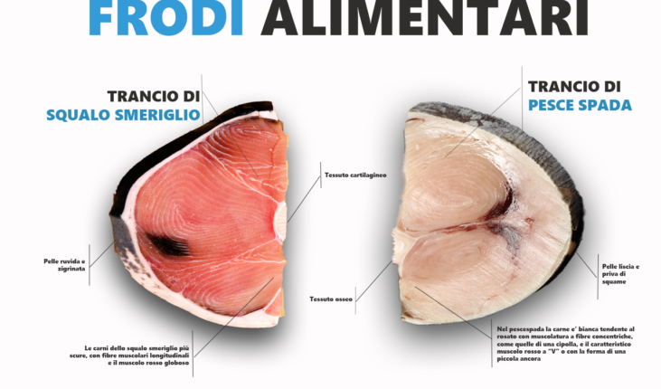 Sono stranieri quasi 8 pesci su 10 consumati in Italia dove è già scattato ad inizio aprile il “Fish Dependence Day”