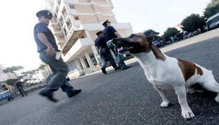 Cocaina in casa a Portici scovata grazie al fiuto del cane antidroga “Pocho”