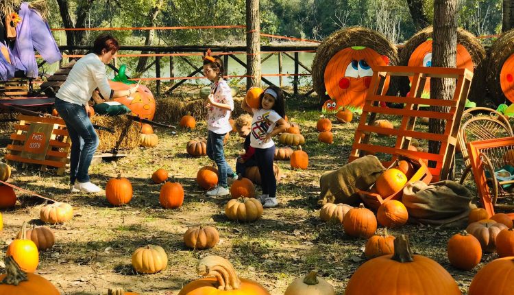 In esclusiva a Eboli “La terra delle zucche”: come nel Regno Unito il villaggio d’autunno