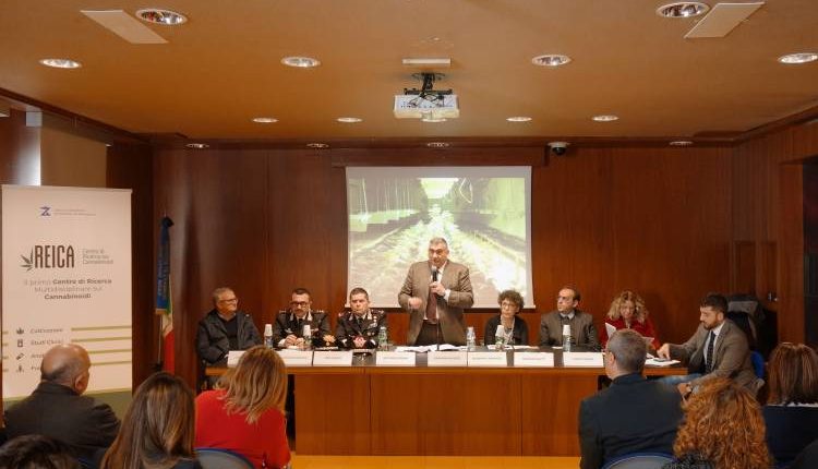 A Portici il primo centro multidisciplinare italiano per la ricerca sui cannabinoidi