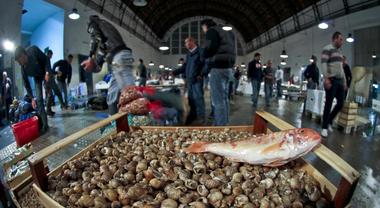 Dal Mercato di Volla:  1,7 quintali di pesce in dono alle famiglie bisognose