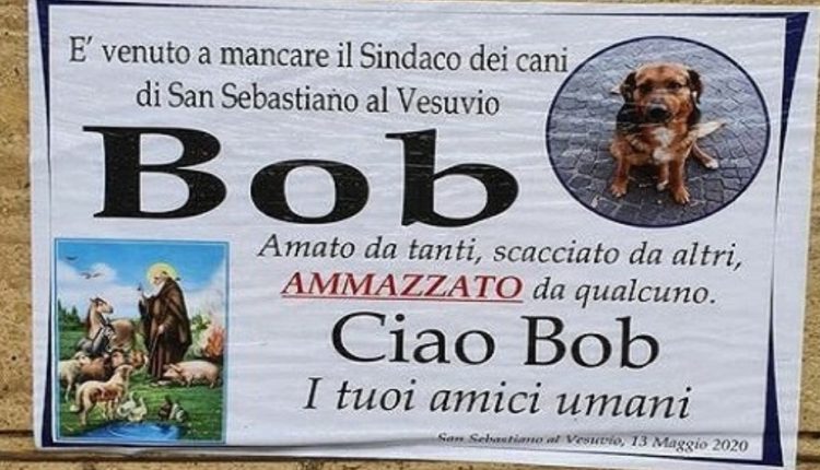 Addio Bob, un manifesto funebre da il triste annuncio della morte del sindaco dei cani di San Sebastiano al Vesuvio: investito e non soccorso da un pirata della strada