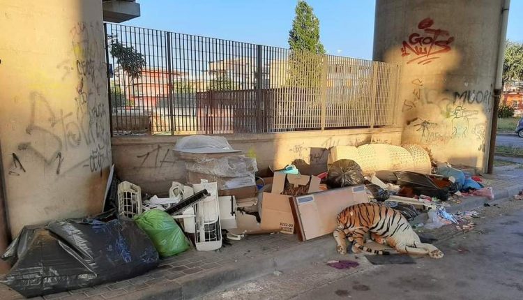 A Pomigliano d’Arco sotto il ponte della Circumvesuviana una tigre fa la guardia ai rifiuti abusivi