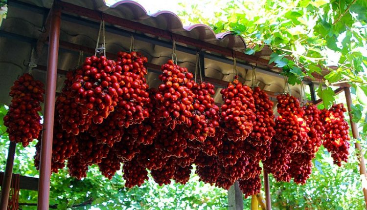 A San Sebastiano, due giorni per raccogliere e degustare il pomodorini  del piennolo dop targati Ciro Punzo