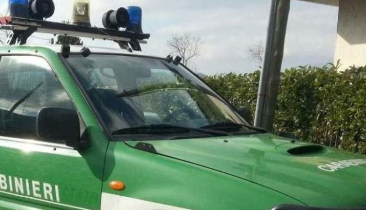 Villa abusiva con campo di padel e piscine a ridosso della Domus Villa Augustea: 12 denunciati scatta il sequestro