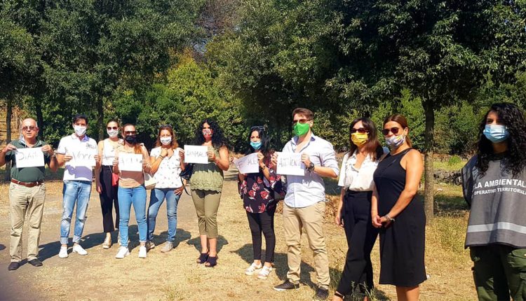 Volontari ambientalisti e animalisti in pineta a Terzigno per discutere del randagismo che imperversa nel Parco Nazionale del Vesuvio