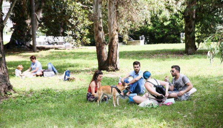 Sarà Napoli sabato 19 e domenica 20 settembre a ospitare la “due giorni pet friendly” più famosa d’Italia in outdoor. Quattrozampeinfiera: picnic, musica e tanto divertimento per tutta la famiglia