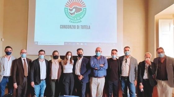 Mozzarella Dop, eletto il nuovo Cda del Consorzio di Tutela: giovani e donne under 35 le new entry nell’organismo