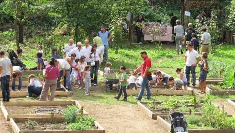 I GIOVANI PER IL TERRITORIO: NASCE L’ORTO URBANO A VOLLA