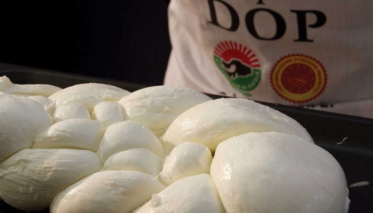 A Napoli, il primo congresso sulla mozzarella di bufala