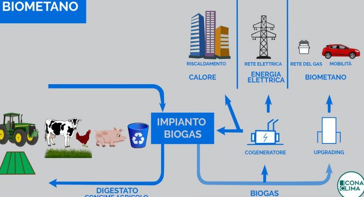 Impianti green a Palma Campania, ecco le indicazioni della commissione consiliare istituita dal sindaco Nello Donnarumma