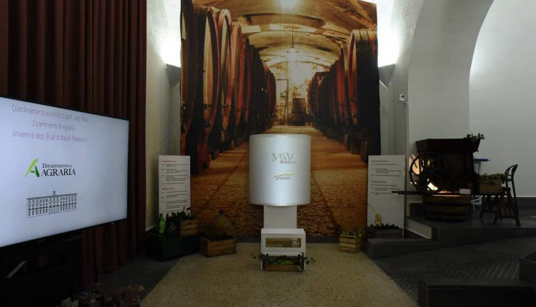 IL FUTURO DEL VINO TRA INNOVAZIONE E TRADIZIONE al MAVV Wine Art Museum – Reggia di Portici. Sabato 6 febbraio 2021 – dalle ore 10.30 alle 12 in Diretta Live Streaming sui Canali Social