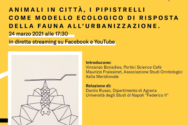 I pipistrelli e la loro sensibilità ai cambiamenti ambientali al centro dell’incontro del Portici Science Cafè in programma mercoledì 24 marzo alle 17:30 in diretta streaming su Facebook