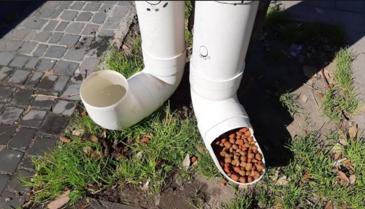 A Somma Vesuviana, i vecchi tubi delle grondaie diventano dispenser in strada di acqua e crocchette per i randagi. Parte il progetto dell’Associazione “Cani di Somma”