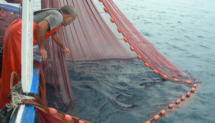 UN PROGETTO DELLA REGIONE CAMPANIA PER UN PORTALE E LA CARTA DI VOCAZIONALE DEL MARE ,PLAUSO DELL’ALLEANZA DELLE COOPERATIVE