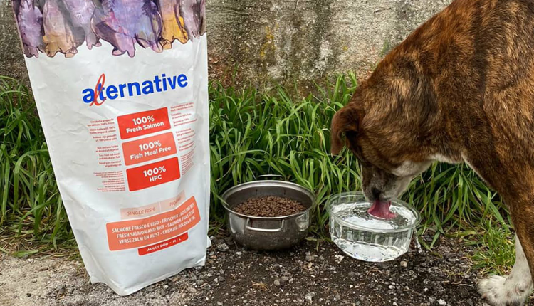 L’associazione Vesuvio’s Dog di San Giuseppe Vesuviano beneficerà per alcuni mesi di una grossa donazione di cibo per gli animali. L’aiuto da parte di LAV, Europa Verde e una fondazione animalista francese