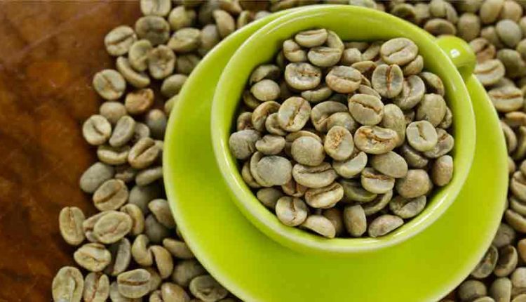 ‘A CHE BELLU CAFE’ – Aumenta consumo di caffè verde in Campania: le Importazioni + 38% e 95 torrefazioni censite in regione