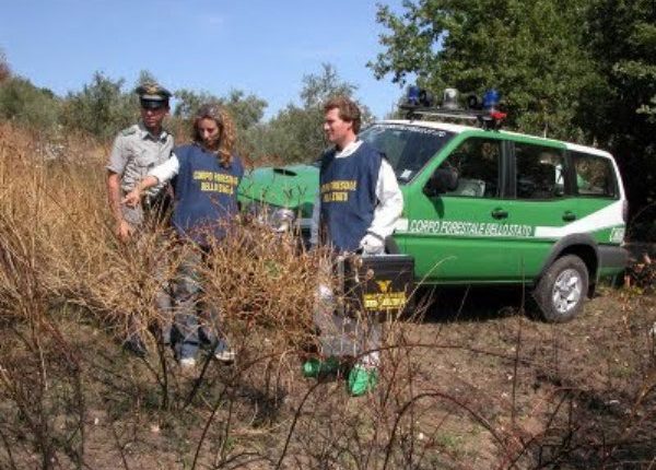 Incendi al Parco Nazionale del Vesuvio, i carabinieri arrestano un 70enne incensurato