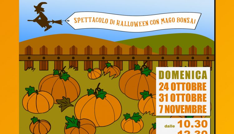 sale in zucca