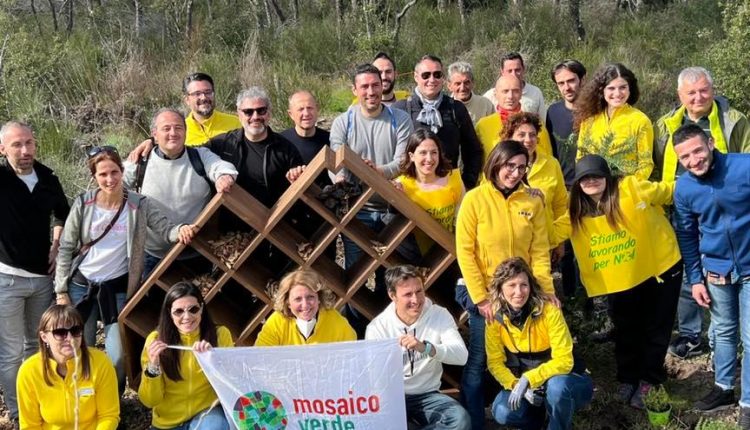 Bee House per api, videocamere per falchi e monitoraggio dei pipistrelli: parte il progetto dell’Ente Parco Nazionale del Vesuvio finanziato da Ikea Italia
