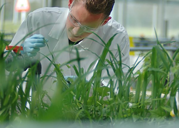 “Techagriculture”: a Napoli il meeting tra Italia e Israele per l’agricoltura del futuro