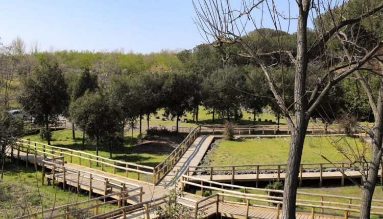 24 maggio 2022 Giornata Europea dei Parchi: Il Parco Nazionale del Vesuvio organizza visite guidate per le scuole del territorio sui sentieri con ingresso gratuito al Cratere del Vesuvio per i residenti nei 13 comuni del Parco fino al 28 maggio