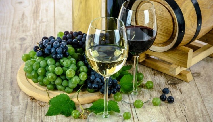 Slow Wine Fair 2023, la Campania tra i protagonisti della seconda edizione