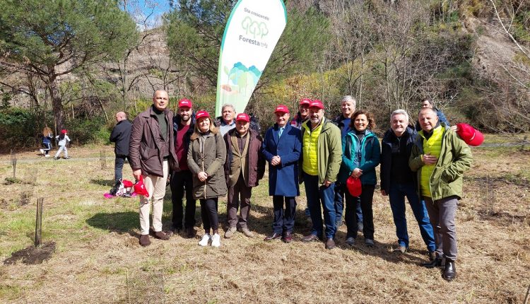 RINATURALIZZAZIONE AMBIENTALE AI CONETTI VULCANICI, STAMATTINA L’INIZIATIVA DI PARCO, AMMINISTRAZIONE E SCUOLE