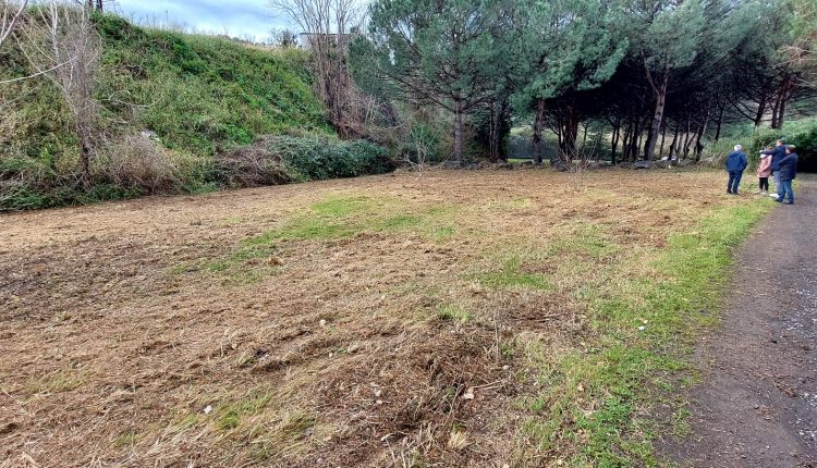 IL BOSCO DEGLI AMICI CUCCIOLOTTI –  A Pollena Trocchia piantati 500 nuovi alberi, col Parco Nazionale del Vesuvio e i mitici Cucciolotti