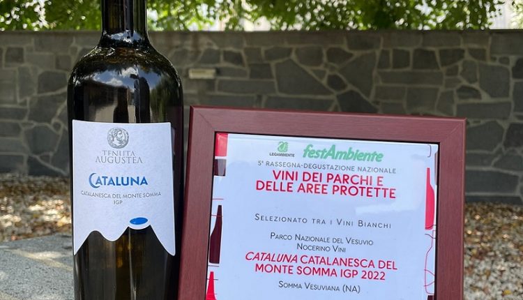 Il Cataluna, la Catalanesca del Monte Somma IGP di Tenuta Augustea premiato tra i migliori bianchi delle “aree protette”