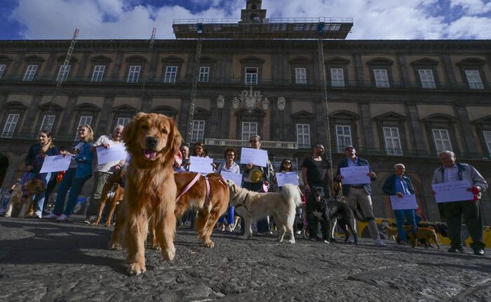 Il Tar conferma lo stop ai cani nei Giardini del Palazzo Reale di Napoli